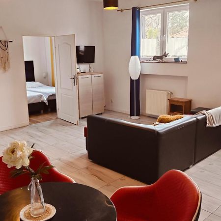 Studio Red Kot Zielona Góra Dış mekan fotoğraf