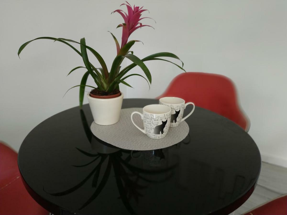 Studio Red Kot Zielona Góra Dış mekan fotoğraf